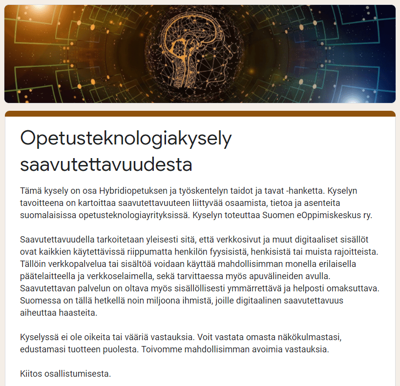 Kuvakaappaus saavutettavuuskyselystä.